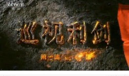 巡视利剑 在线观看,揭秘反腐斗争背后的真实故事